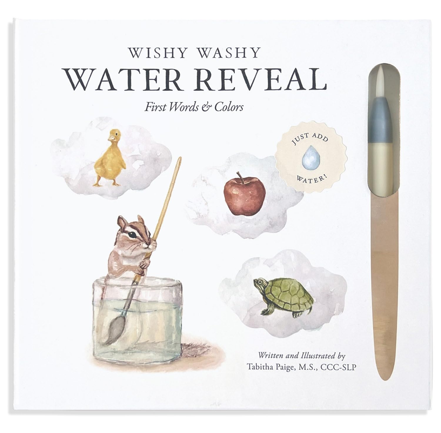 Wishy Washy (Water Reveal Edition): A Reusable Water Reveal Activity Book Teaching First Words and Colors: 13 (Our Little Adventures Series)